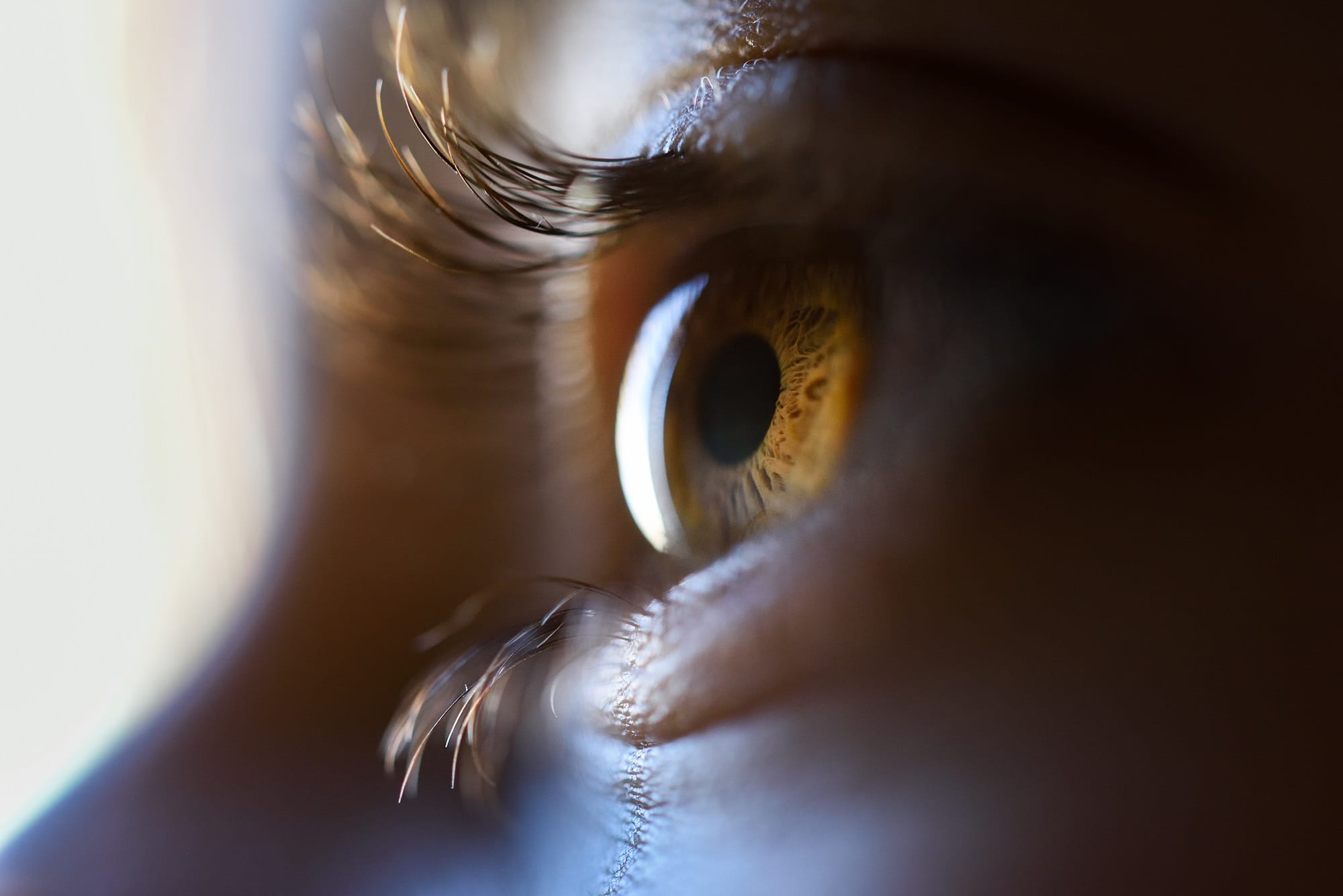 Como os daltônicos enxergam o mundo. Foto: Freepik.